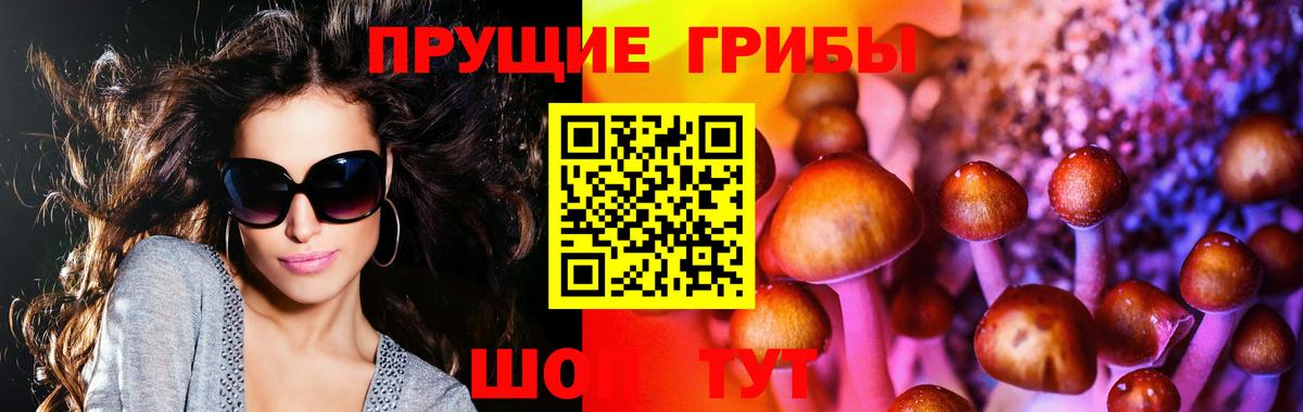 Галлюциногенные грибы Psilocybe Воркута
